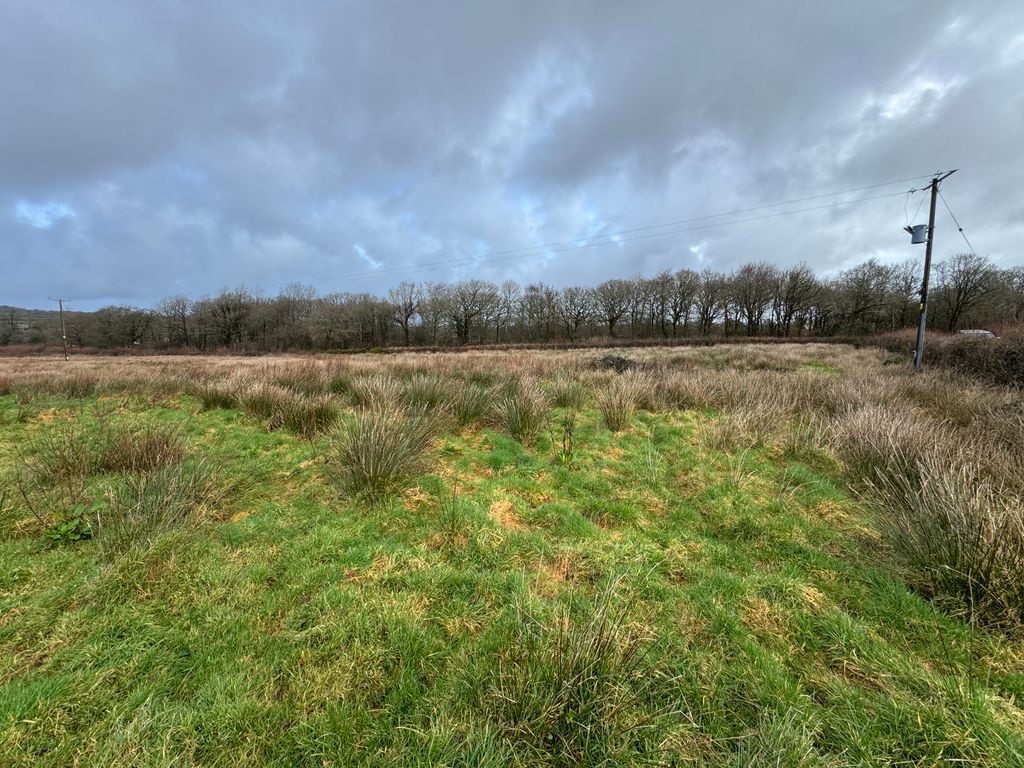 Additional image 5 of Land for saleCookbury, Holsworthy EX22