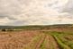 Additional image 27 of Maenclochog, SA66