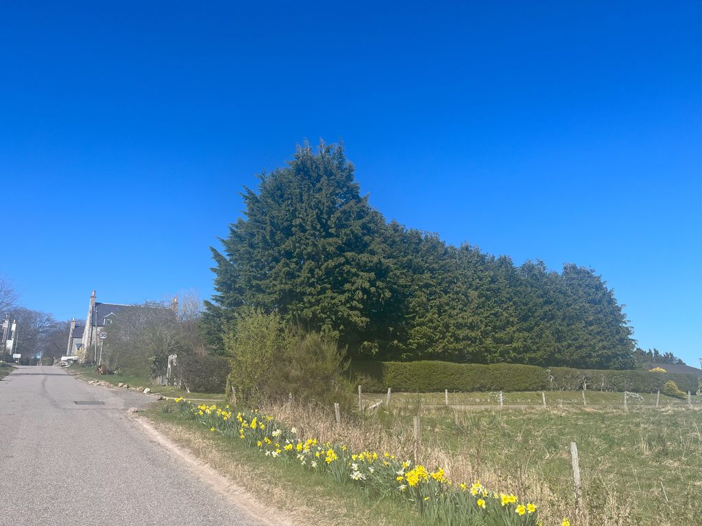 Additional image 7 of Land for saleArchiestown, Moray AB38
