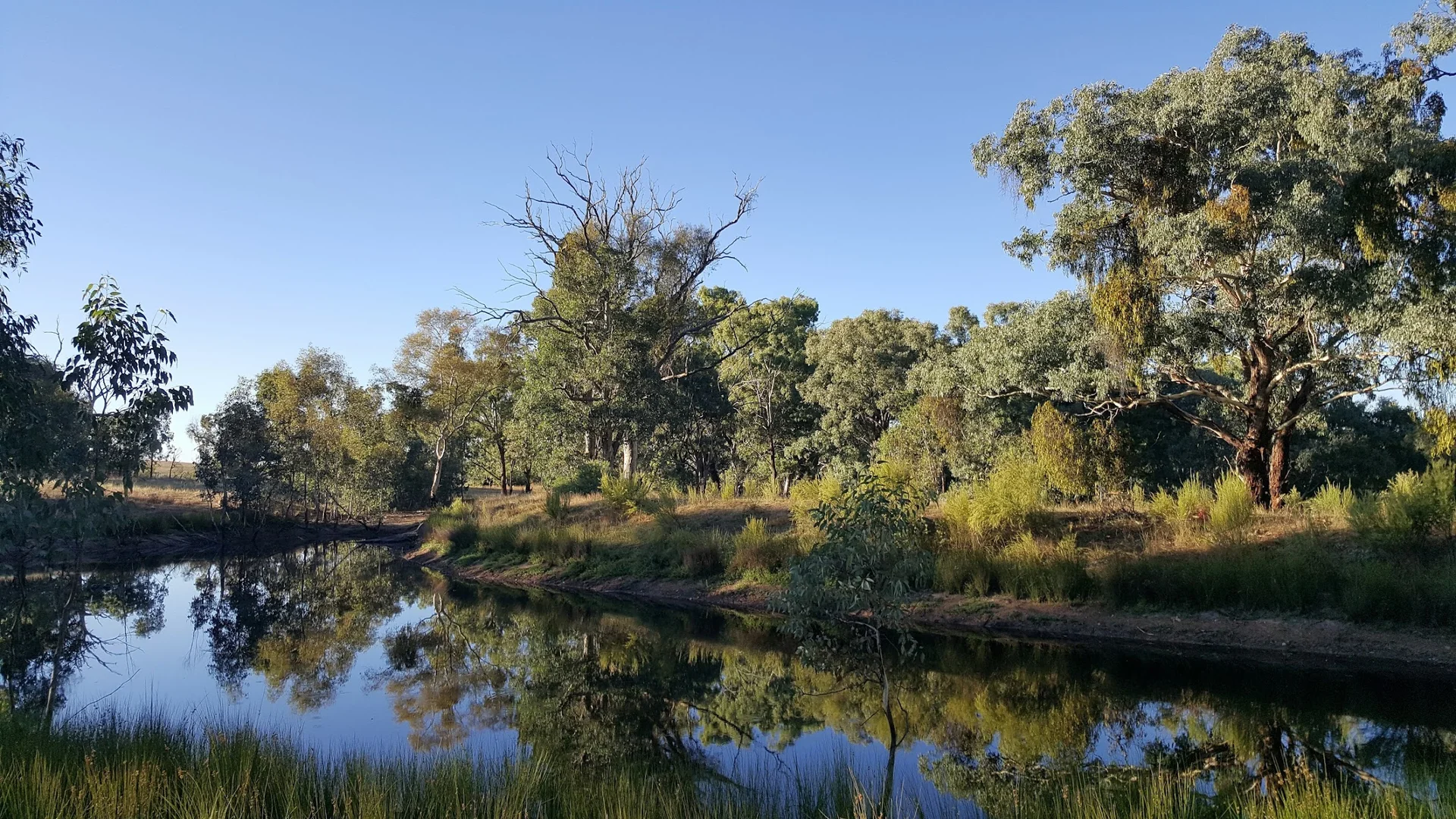 Additional image 8 of 130 Red Gum Lane, Frogmore NSW 2586