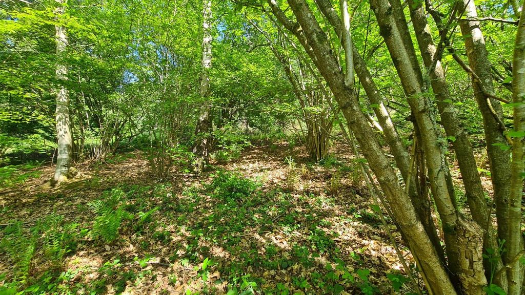 Land for saleFarley Heath, Albury, Guildford GU5