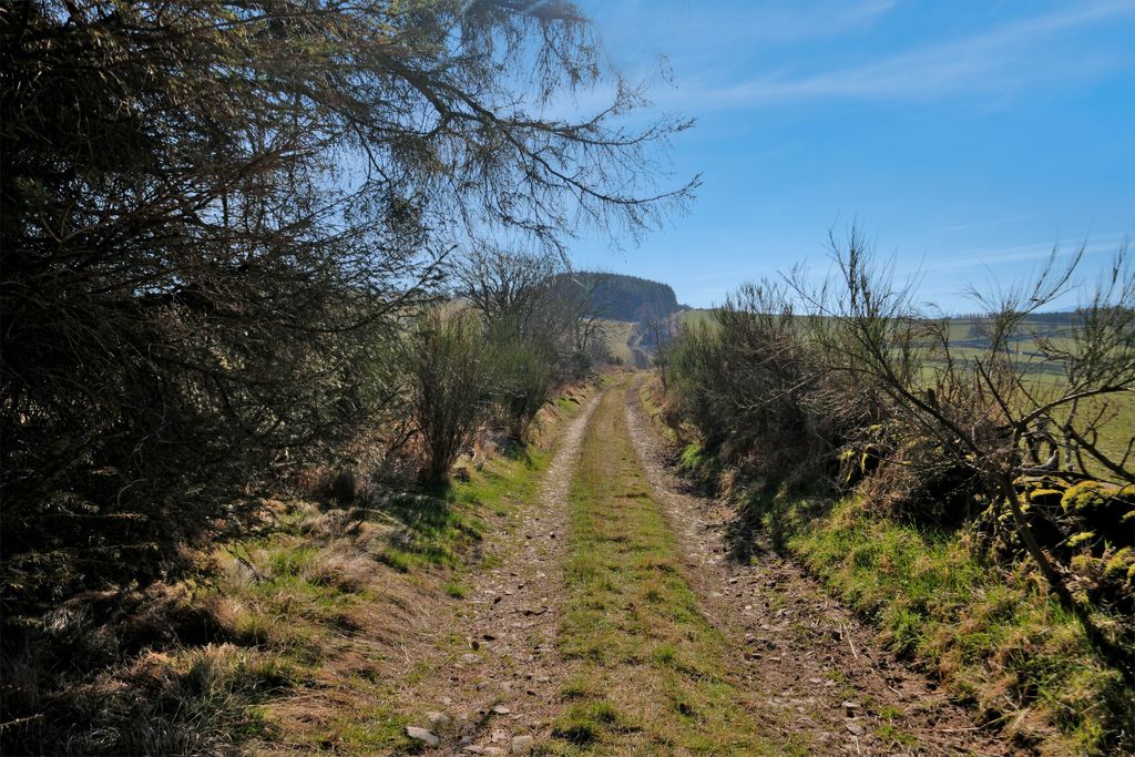 Additional image 2 of Land for saleLumphanan AB31