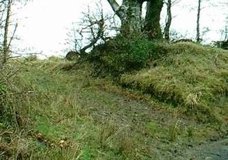 Additional image 12 of Land for saleAshwater EX21