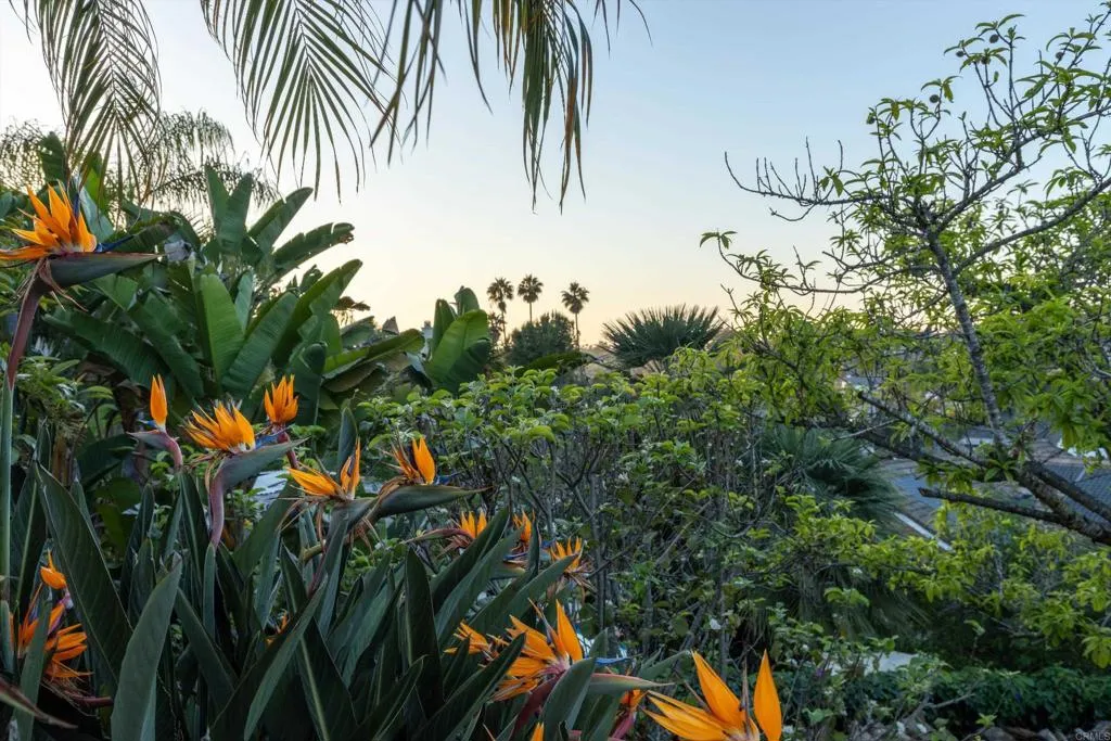 Additional image 97 of 1751 Monte Vista Drive, Vista, CA 92084