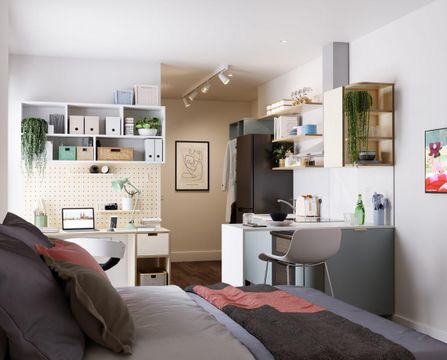 Lewes Road, Brighton BN2, Room to rent