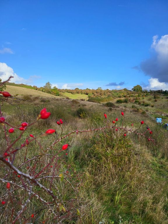 Land for saleGreat Lane, Bedford MK45