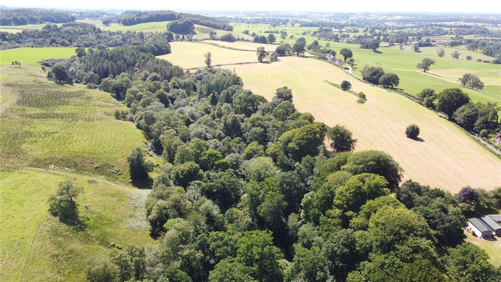 Land for saleQuarrybeck Wood, Brampton, Cumbria CA8