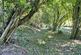 Additional image 19 of Buckland Lane, Near Staple, Canterbury, Kent, CT3