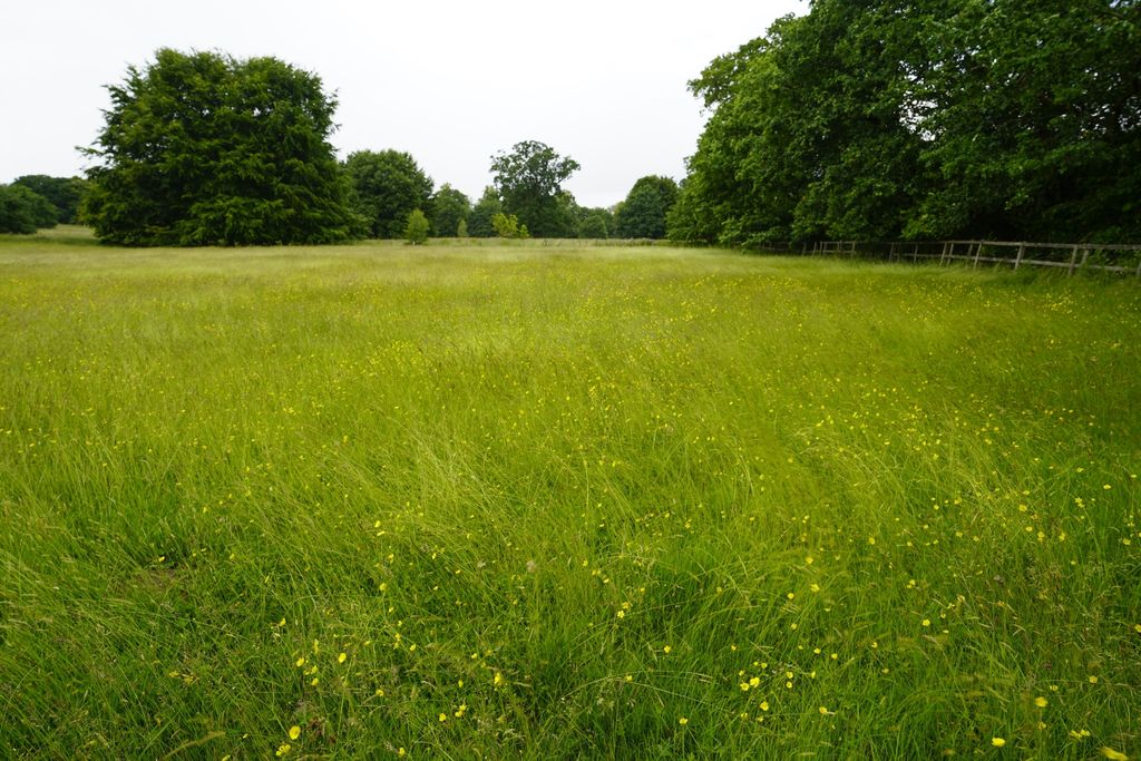 Additional image 2 of Land for saleHollybush Lane, Codsall WV8