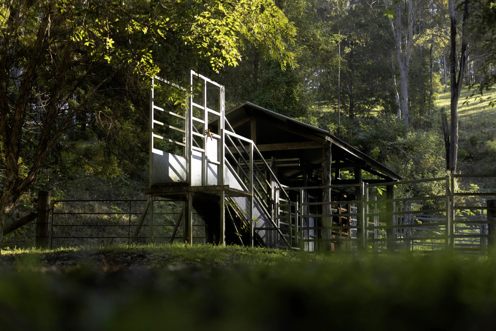 Additional image 32 of 196 Broken Bridge Road, Conondale QLD 4552