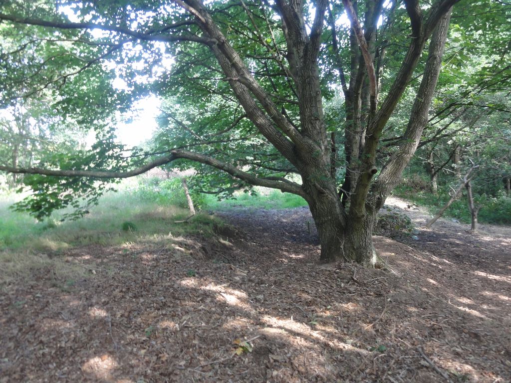 Additional image 4 of Land for saleWoodlands, Leeds LS16