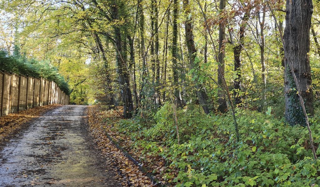Additional image 3 of Land for saleRowhill Road, Dartford DA2