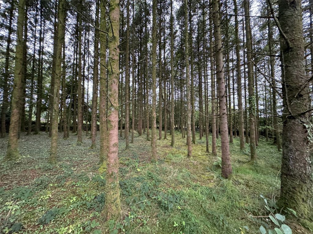 Additional image 17 of Land for saleBrandis Corner, Holsworthy EX22
