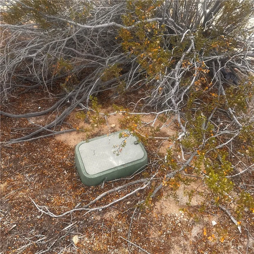 Additional image 70 of Appian Way, Joshua Tree, CA 92252