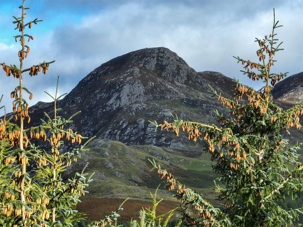 Additional image 9 of Land for saleWhitebridge, Inverness IV2