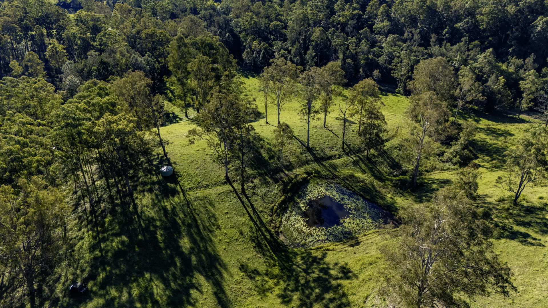 Additional image 27 of 196 Broken Bridge Road, Conondale QLD 4552