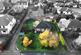 Leiston Road, Aldeburgh, Suffolk, IP15