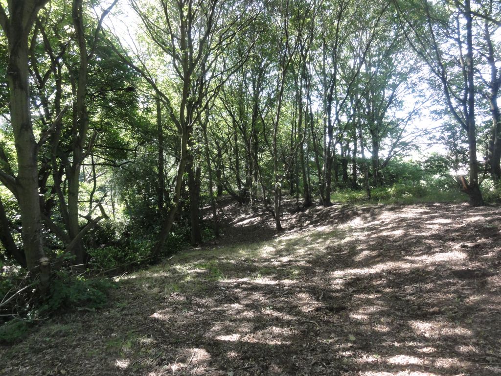 Additional image 7 of Land for saleWoodlands, Leeds LS16
