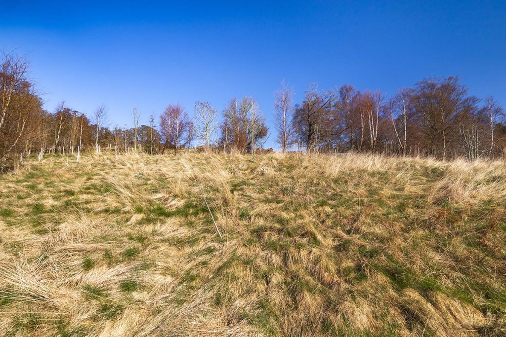 Additional image 6 of Land for sale95M West Of Eastwood, Balnain, Drumnadrochit IV63