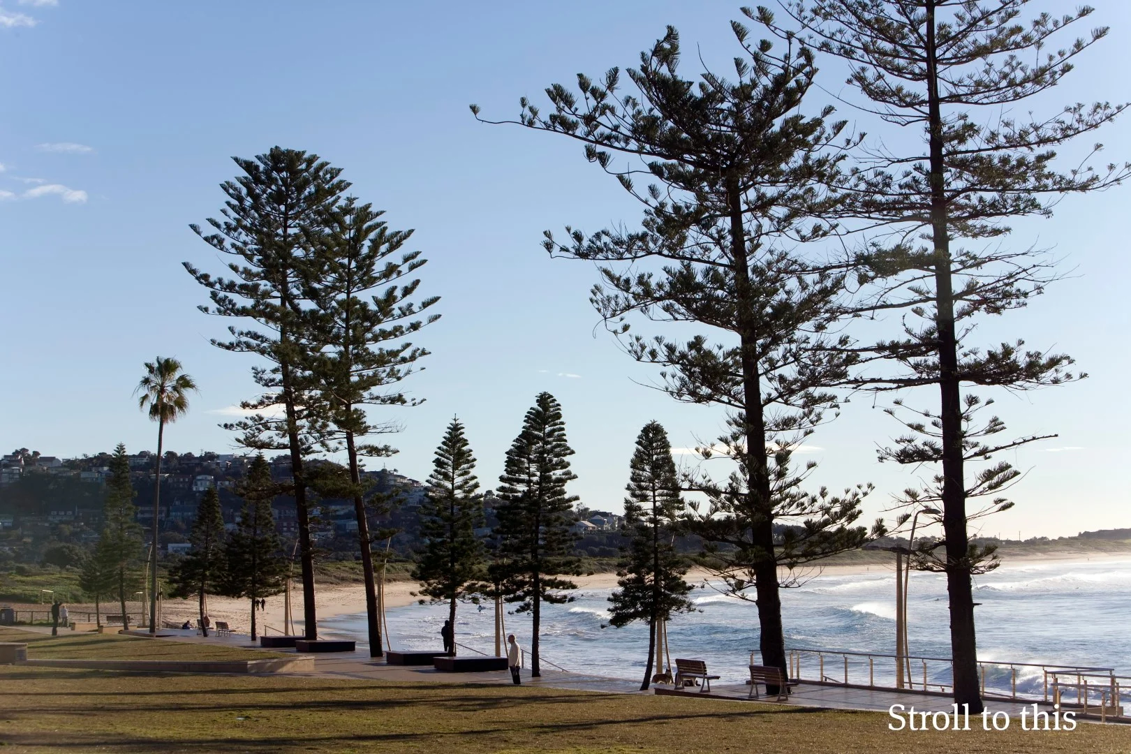 Additional image 7 of 6/82 Pacific Parade, Dee Why NSW 2099