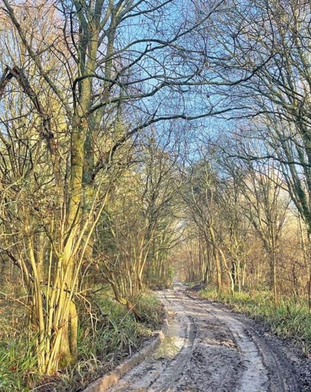 Land for saleLand To The North Side Of, Charlwood Lane, Newdigate, Dorking, West Sussex RH6