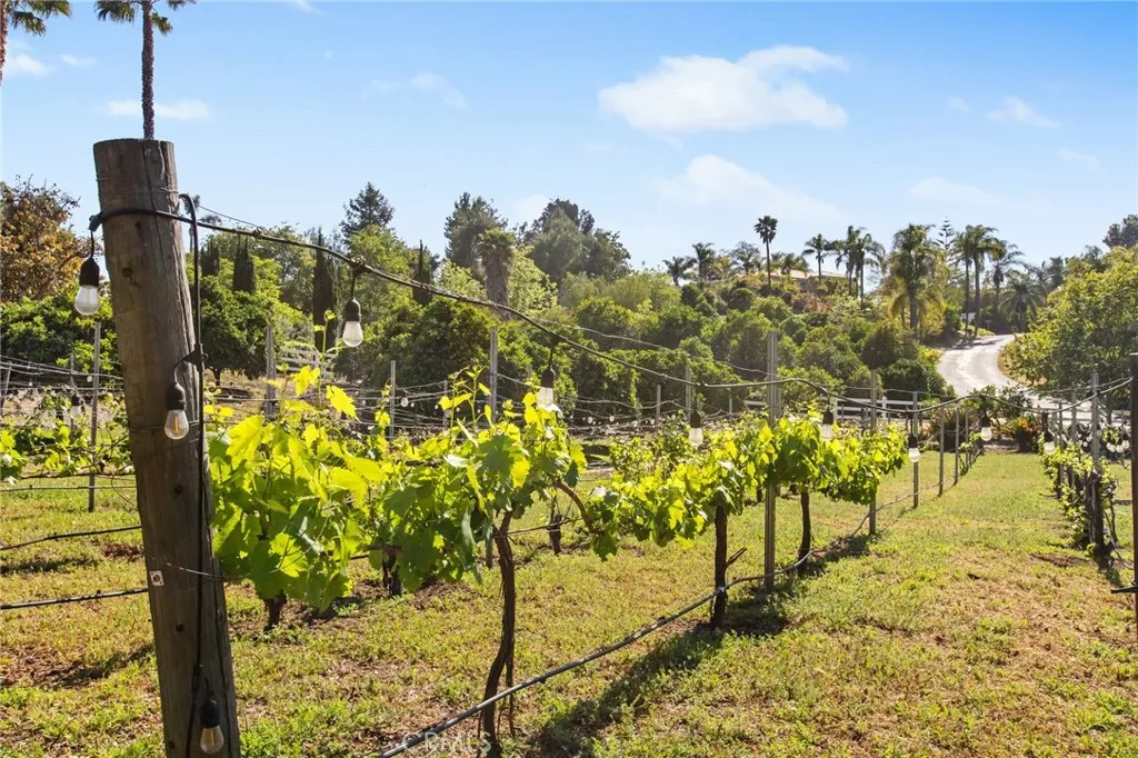 Additional image 105 of 6731 Via De La Reina, Bonsall, CA 92003