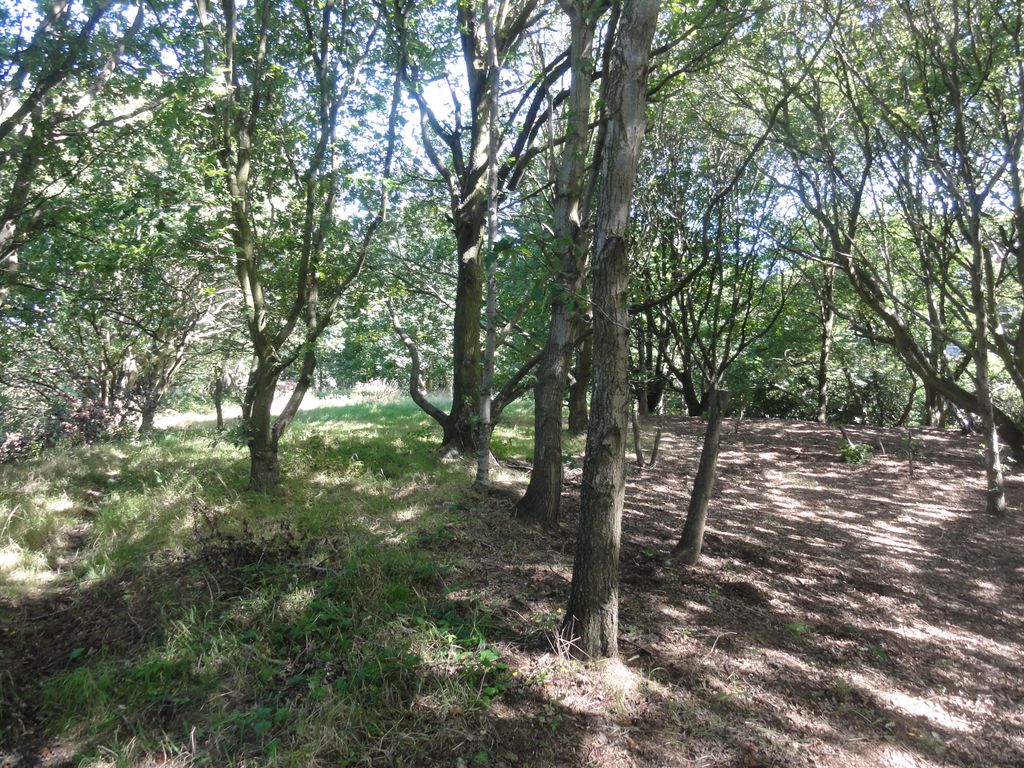 Additional image 8 of Land for saleWoodlands, Leeds LS16