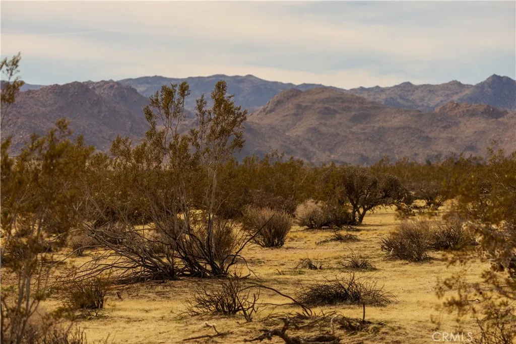 Additional image 8 of Appian Way, Joshua Tree, CA 92252