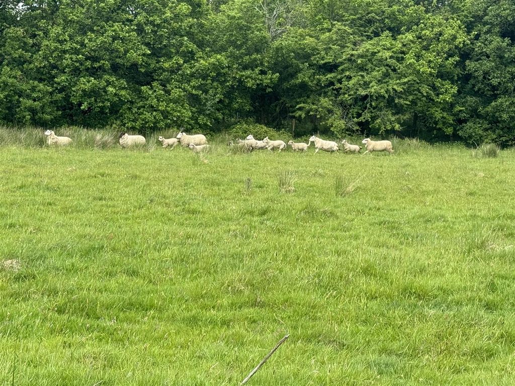 Land for saleTalyclun, Llangennech SA14