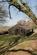 Additional image 20 of The Chicken Shed, Trellech, Monmouthshire