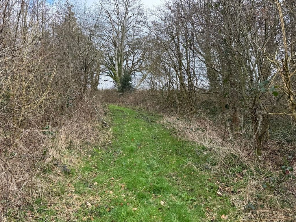 Additional image 69 of 3 bed farm for saleCilcennin, Lampeter SA48