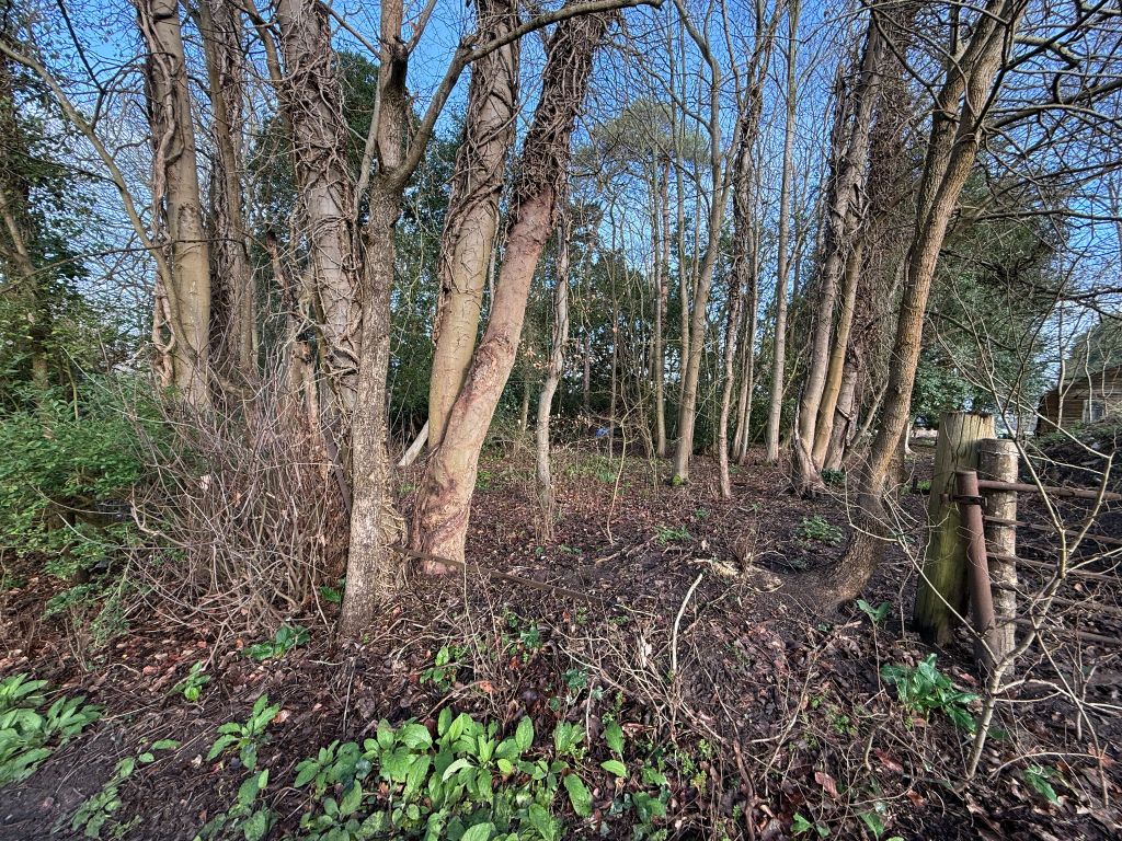 Land for saleWhitmoor Lane, Sutton Green, Guildford GU4