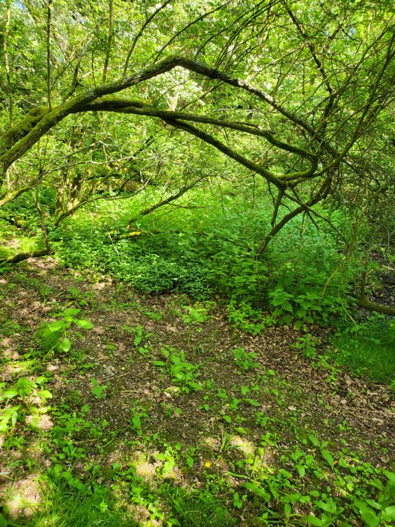 Additional image 8 of Land for saleStan Hill, Horley RH6