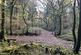 Coed Ffordd Pererin, Llanybri SA33