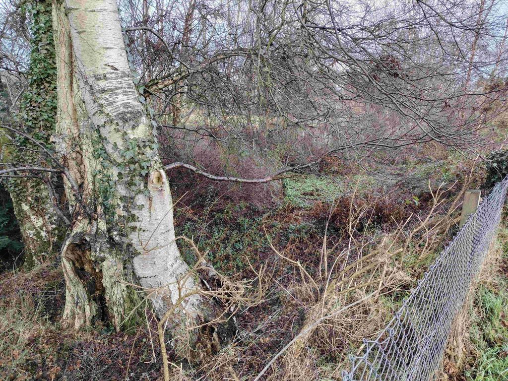 Additional image 7 of Land for saleRiverbank Road, Conon Bridge IV7