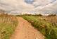 Additional image 30 of Maenclochog, SA66