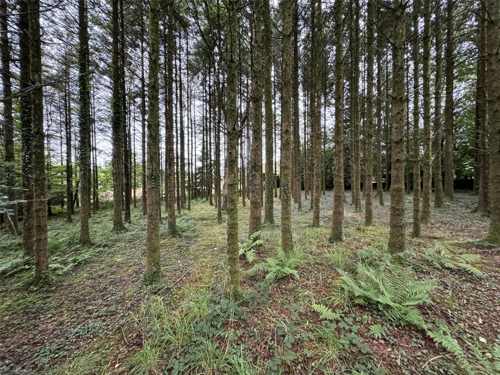 Additional image 13 of Land for saleBrandis Corner, Holsworthy EX22