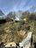 Additional image 21 of Woodside Terrace, Gatehouse Of Fleet DG7
