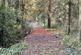 Additional image 19 of Coed Ffordd Pererin, Llanybri SA33