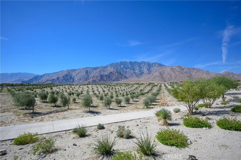 Additional image 32 of 798 Flamingo Way, Palm Springs, CA 92262