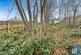 Additional image 4 of Greenhead Lane, Dalton, Huddersfield, HD5