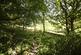 Additional image 64 of Earl Sterndale, Buxton