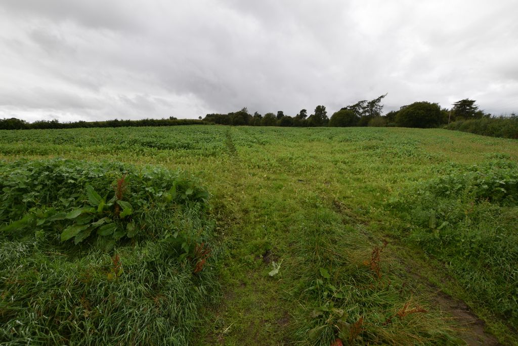 Additional image 3 of Land for saleBotriphnie, Keith AB55