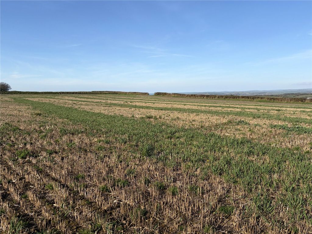 Land for saleEbberley, Torrington, Devon EX38 photo 3