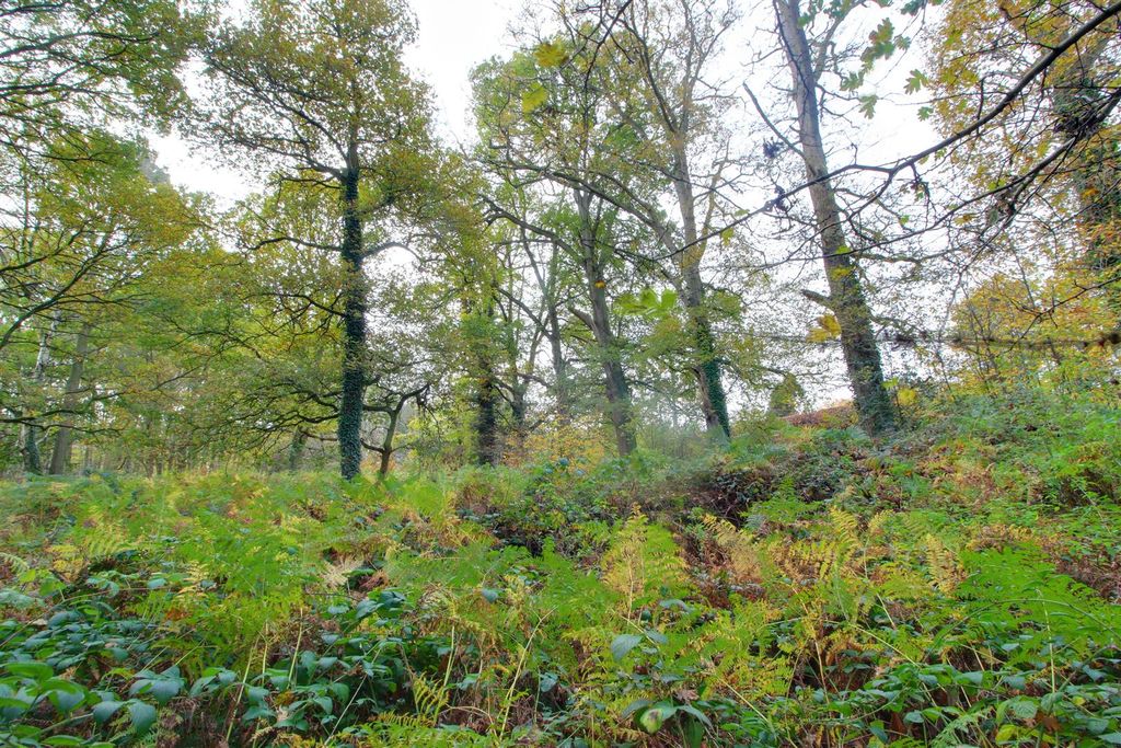 Additional image 3 of Land for saleRingshall Road, Ringshall, Berkhamsted HP4
