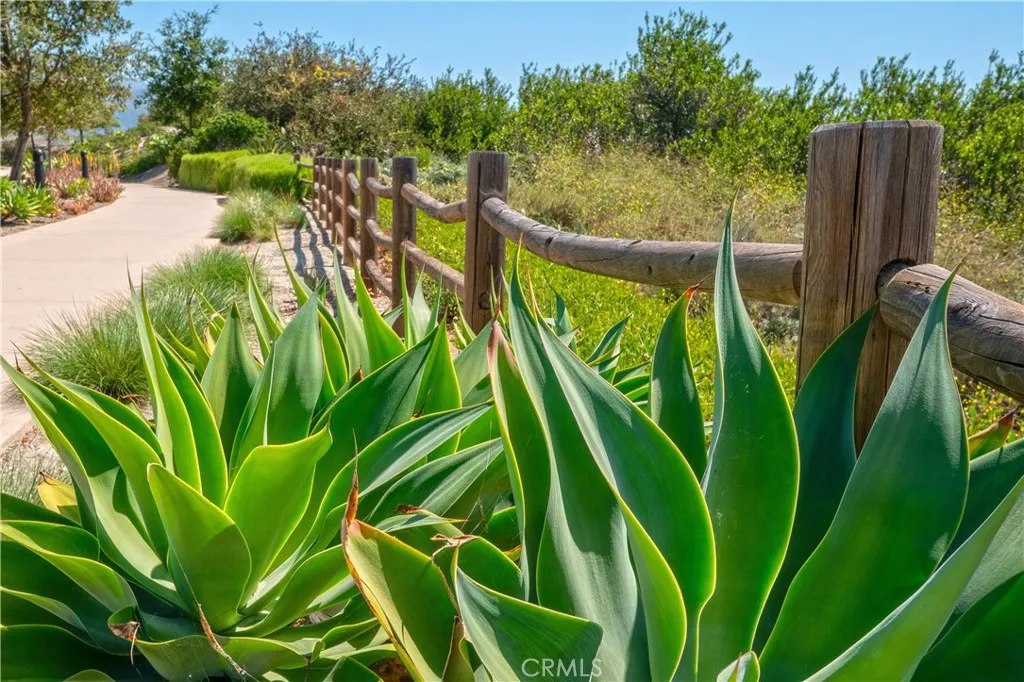 Additional image 75 of 609 Shadowbrook, Lake Forest, CA 92610