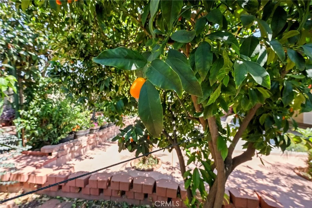 Additional image 46 of 15070 Spring St, Fontana, CA 92335
