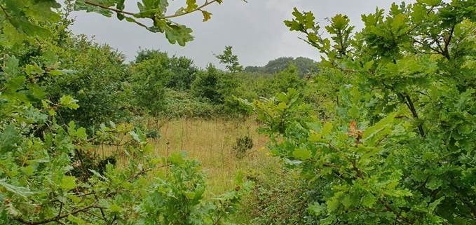 Land for saleGuildford Road, Rudgwick RH12