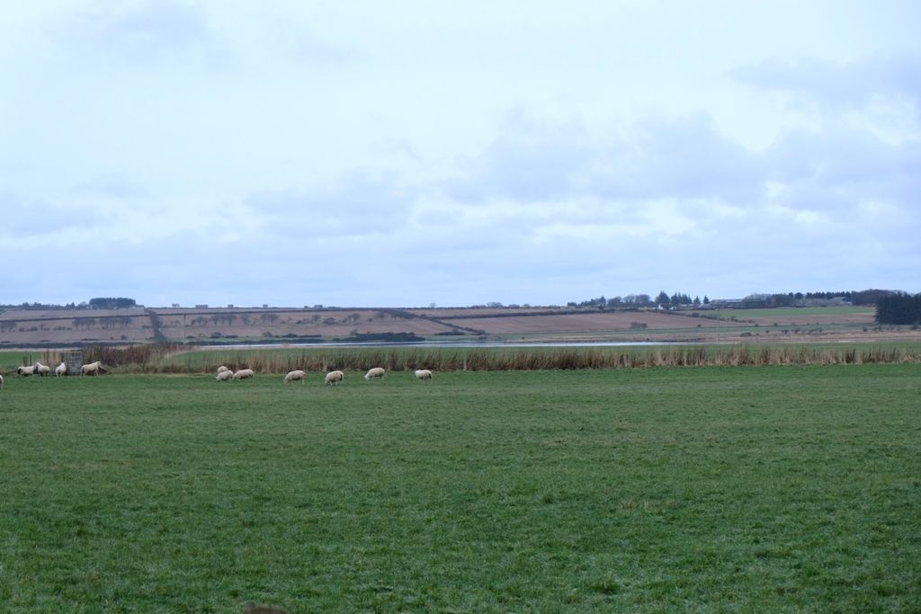 Land for saleWatten Development, Watten. KW1 photo 5