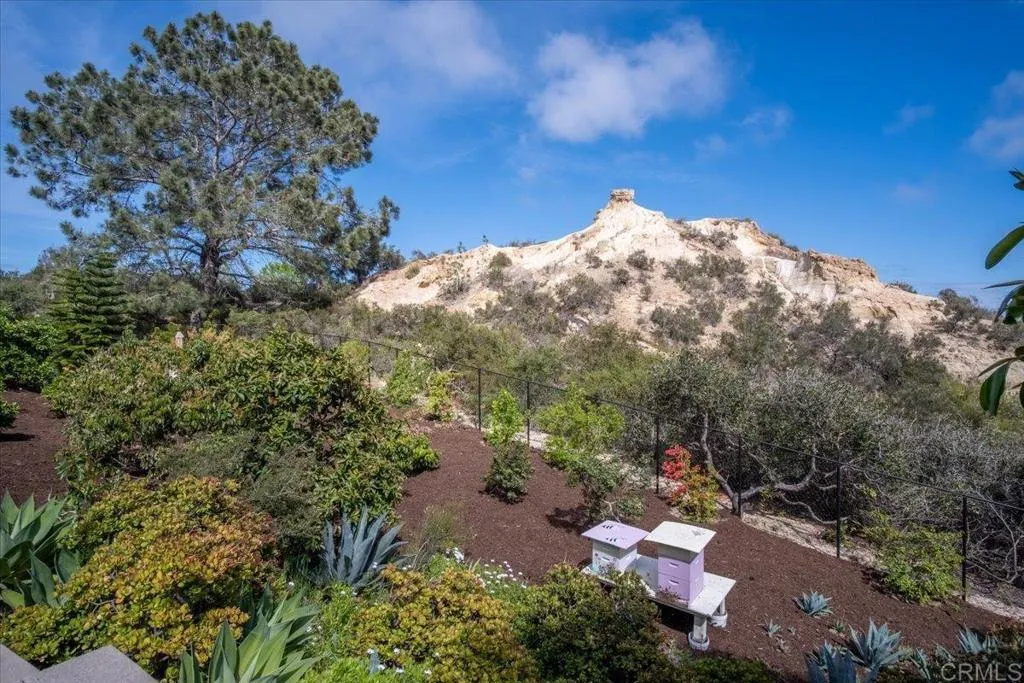 Additional image 106 of 734 Avocado Ct, Del Mar, CA 92014
